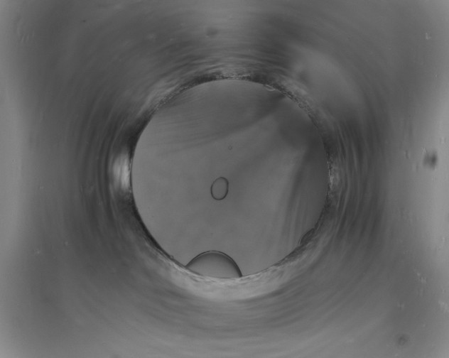 X0000094060046200711091138