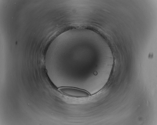 X0000094060048200711091138