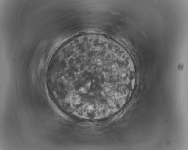 X0000094060049200711091138