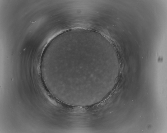 X0000094060050200711091138