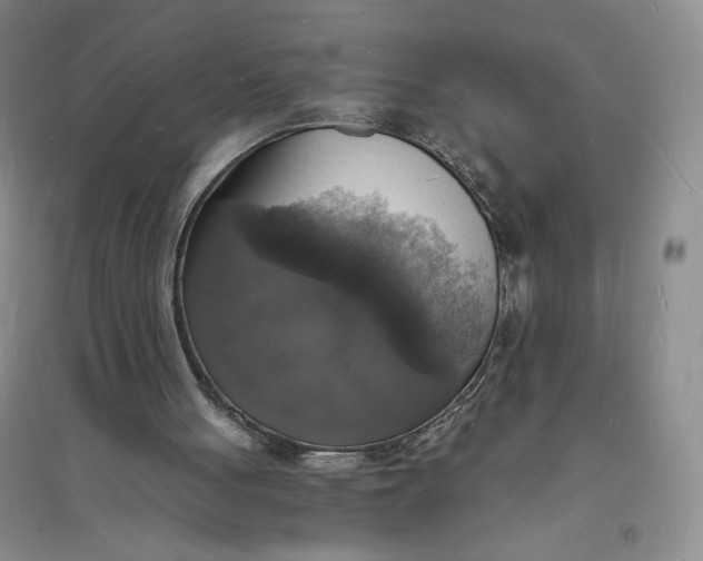 X0000094060051200711091138