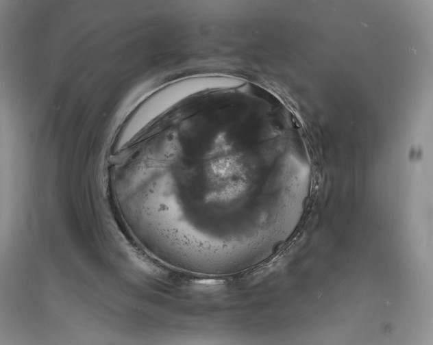 X0000094060053200711091138