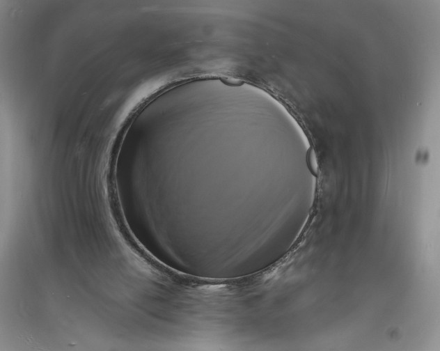 X0000094060054200711091138