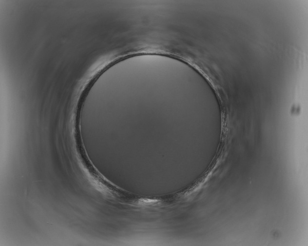 X0000094060055200711091138