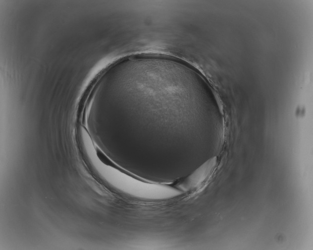 X0000094060056200711091138