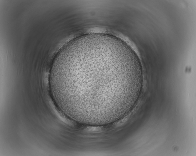 X0000094060057200711091138