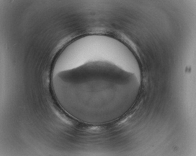 X0000094060059200711091138