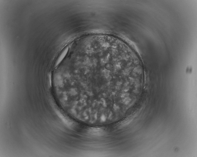 X0000094060061200711091138