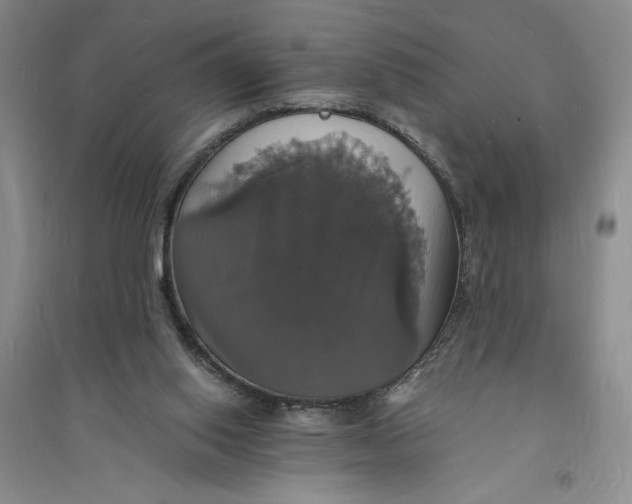 X0000094060062200711091138