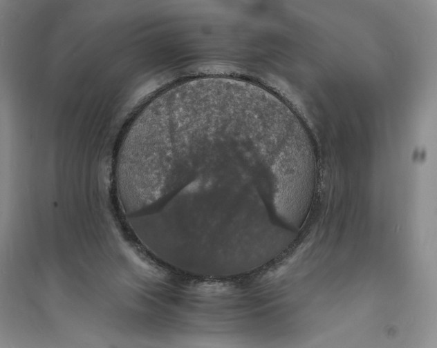 X0000094060063200711091138