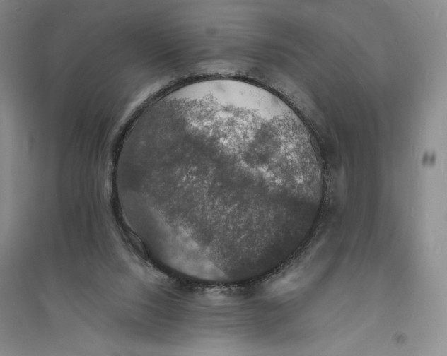 X0000094060064200711091138