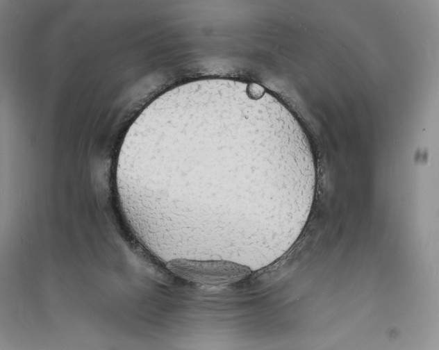 X0000094060066200711091138