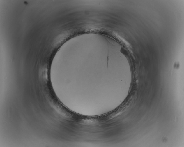 X0000094060067200711091138