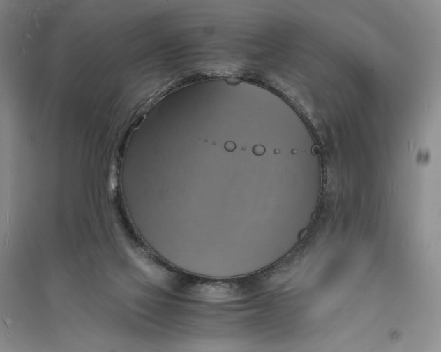 X0000094060069200711091138