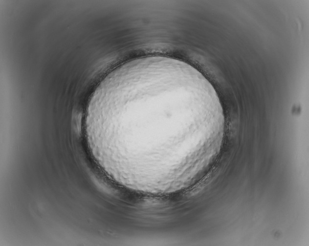 X0000094060070200711091138