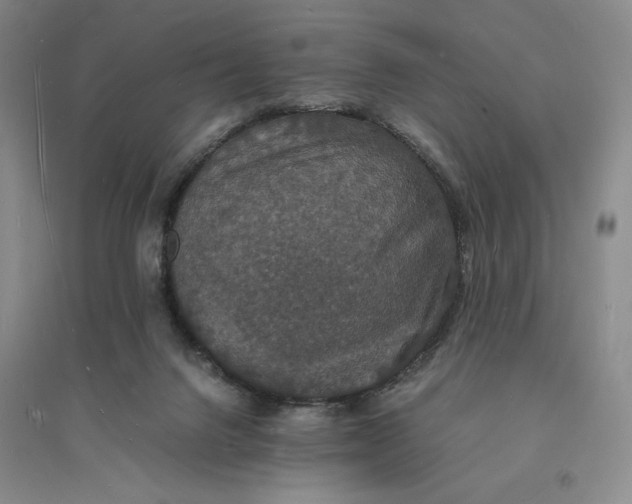 X0000094060072200711091138