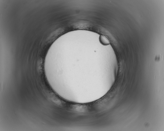 X0000094060073200711091138