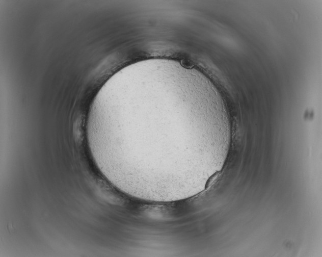 X0000094060074200711091138