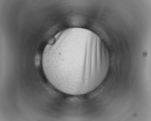 X0000094060075200711091138