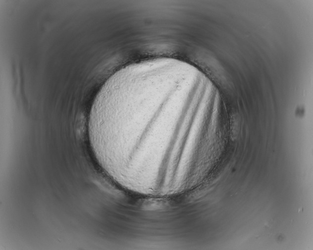 X0000094060077200711091138