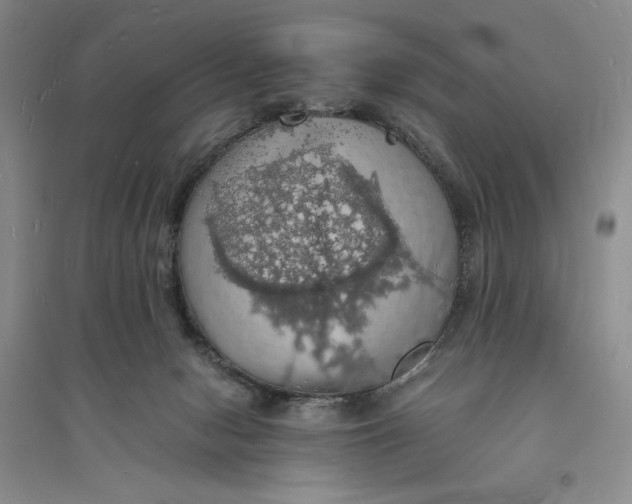 X0000094060078200711091138