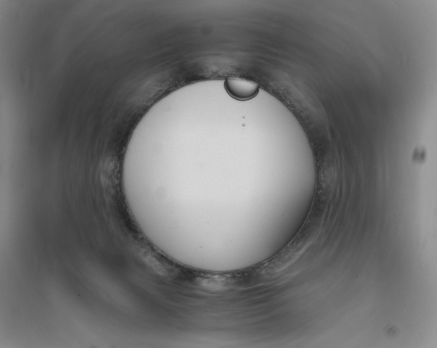 X0000094060079200711091138