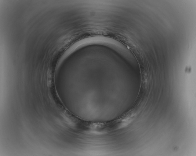 X0000094060080200711091138