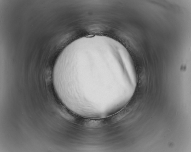 X0000094060081200711091138