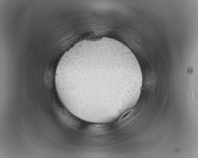 X0000094060082200711091138