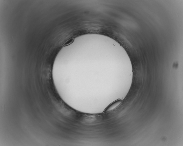 X0000094060083200711091138