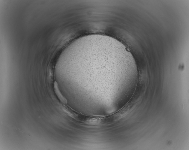 X0000094060084200711091138