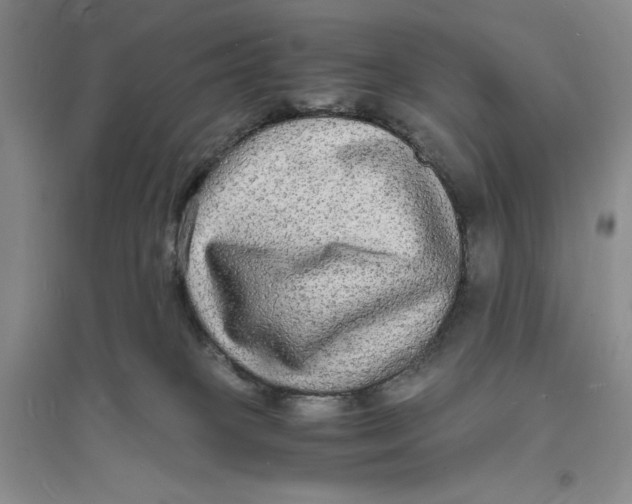 X0000094060085200711091138