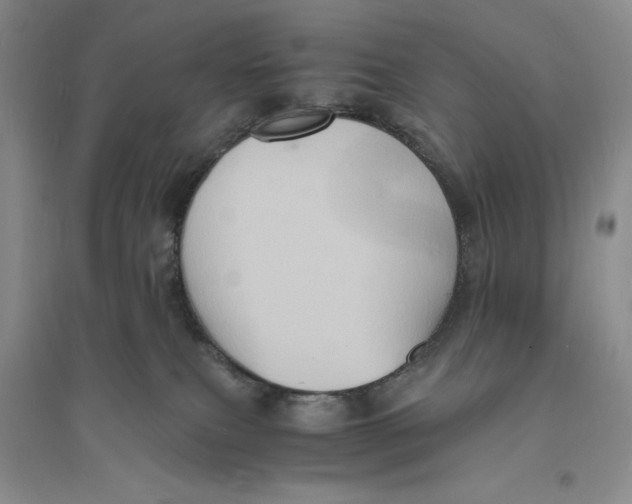 X0000094060087200711091138