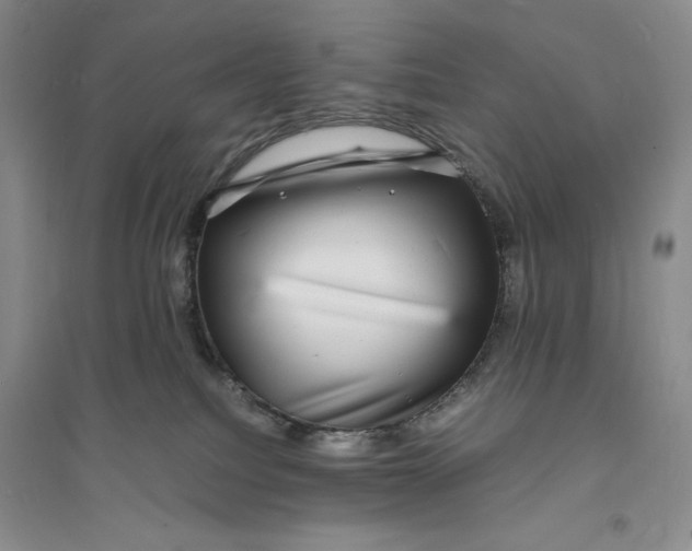 X0000094060088200711091138