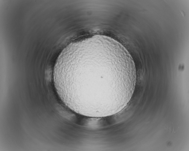 X0000094060090200711091138