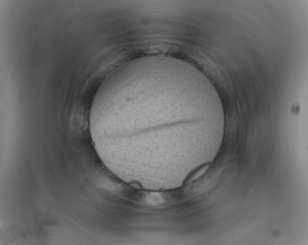 X0000094060091200711091138