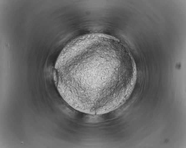 X0000094060093200711091138