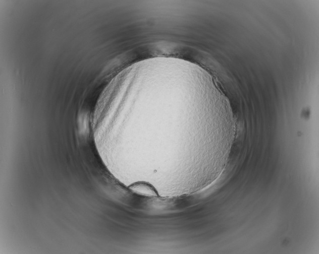 X0000094060094200711091138