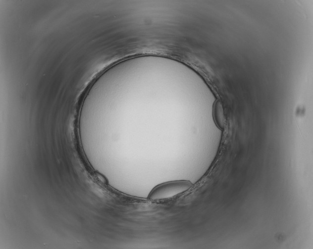 X0000094060098200711091138