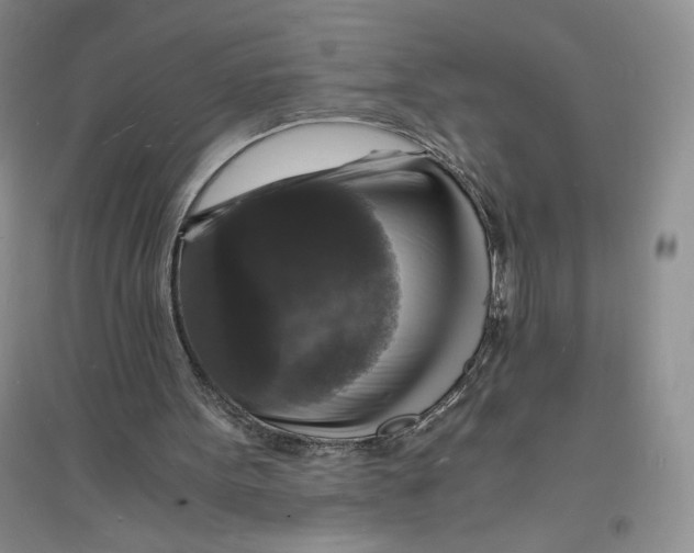 X0000094060099200711091138