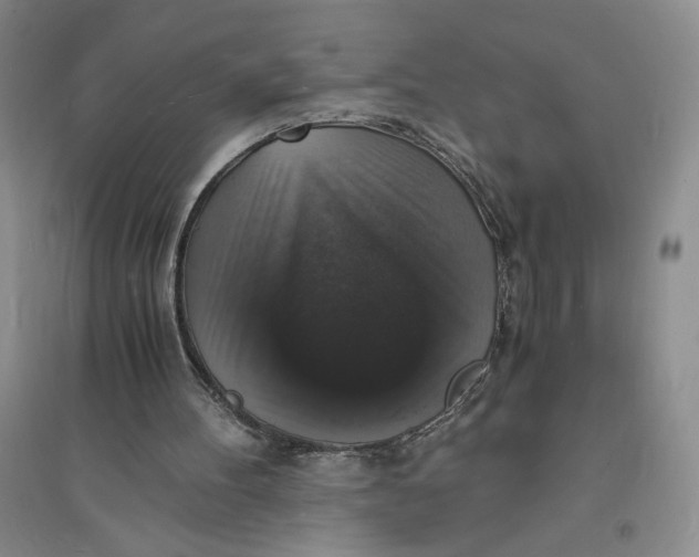 X0000094060100200711091138