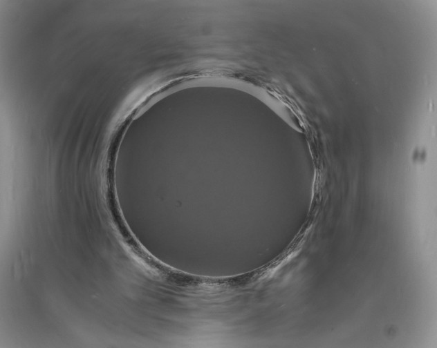 X0000094060101200711091138