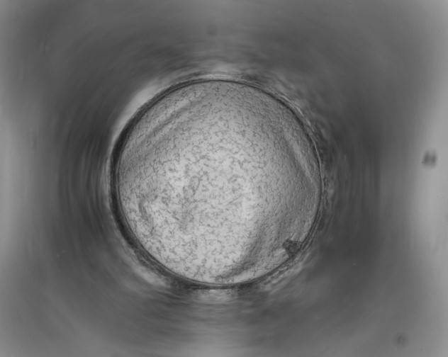 X0000094060102200711091138