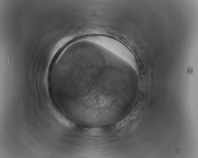 X0000094060104200711091137