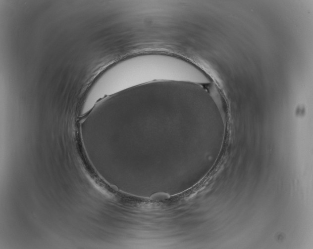 X0000094060105200711091137