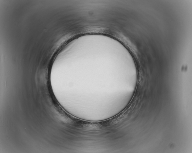 X0000094060107200711091137