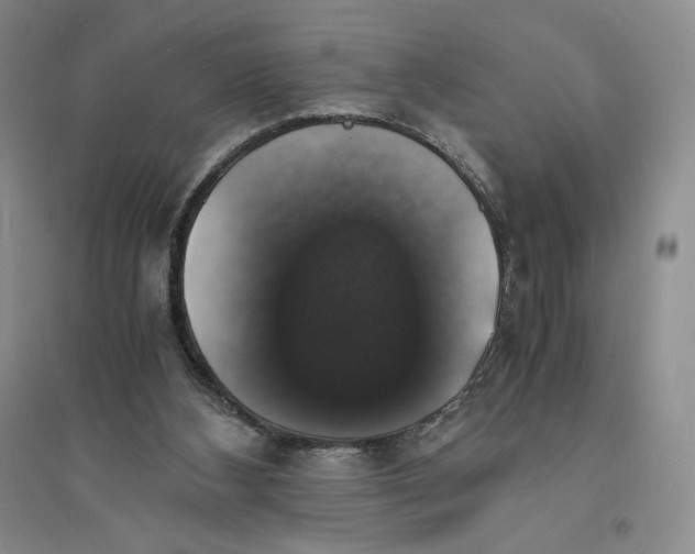 X0000094060108200711091137