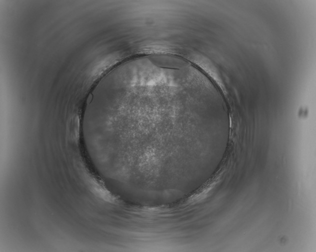 X0000094060109200711091137