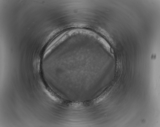 X0000094060110200711091137