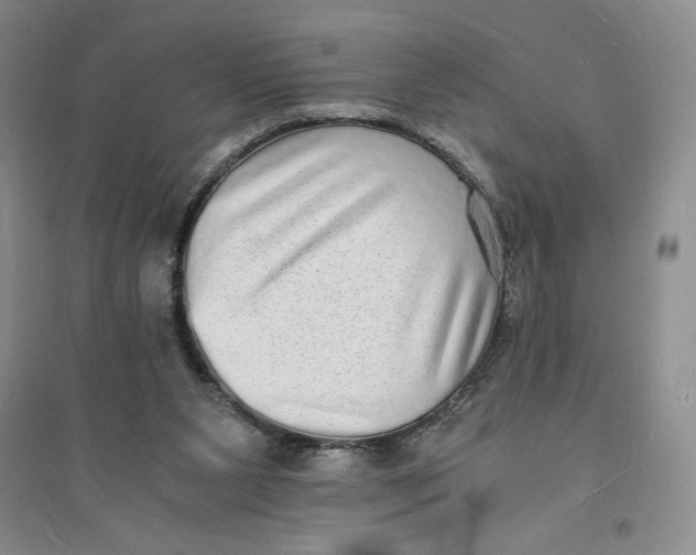 X0000094060111200711091137